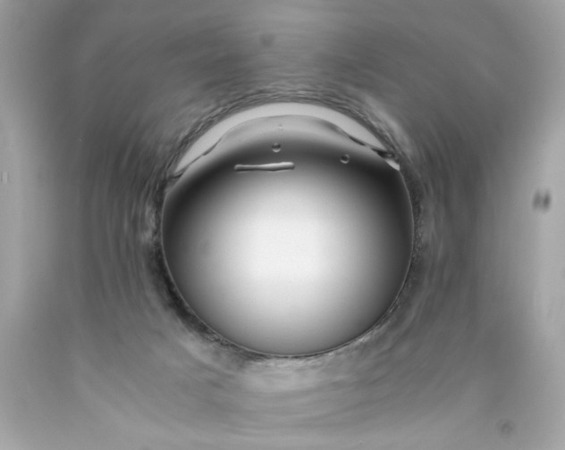 X0000089950025200707201935