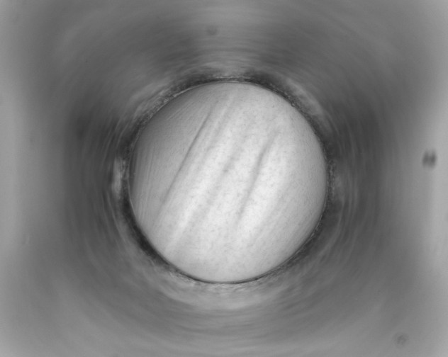 X0000089950026200707201935