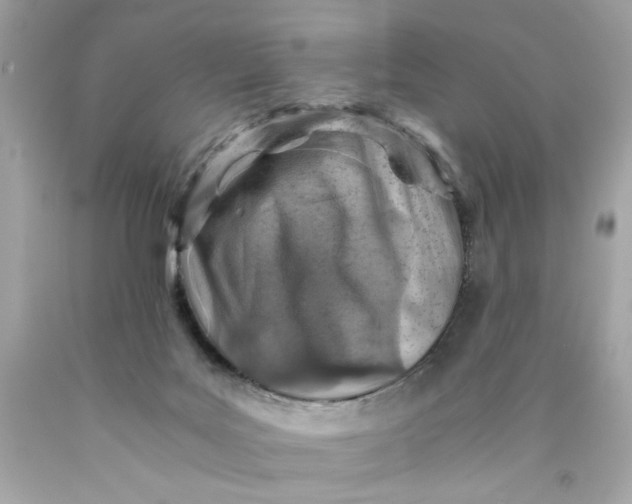 X0000089950027200707201935