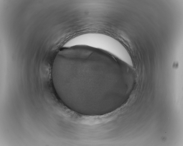 X0000089950029200707201935