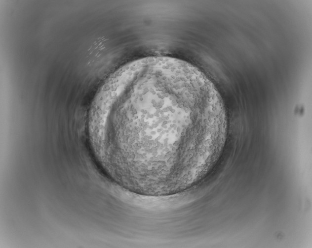 X0000089950030200707201935