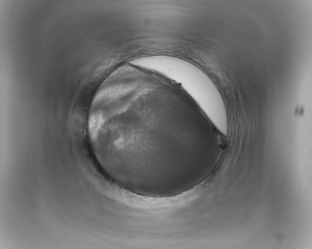 X0000089950031200707201935