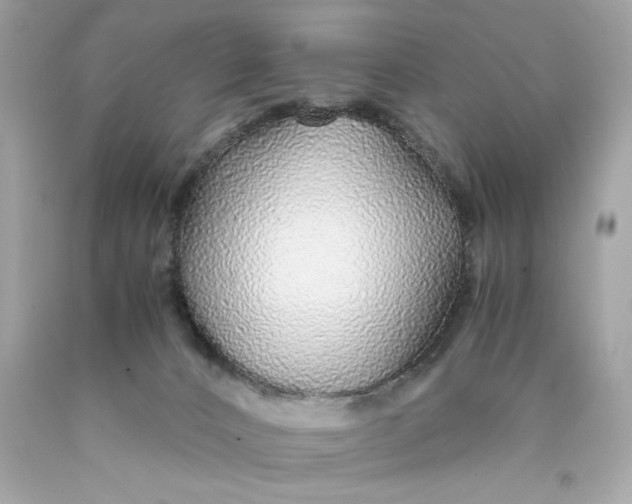 X0000089950032200707201935