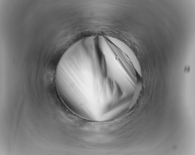 X0000089950033200707201935