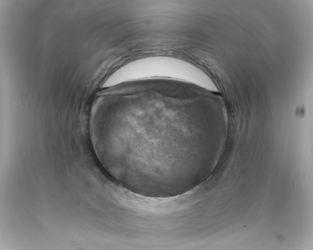 X0000089950035200707201935