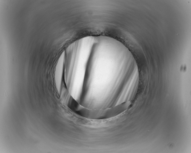 X0000089950037200707201935