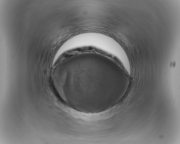 X0000089950039200707201935