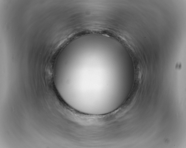 X0000089950040200707201935