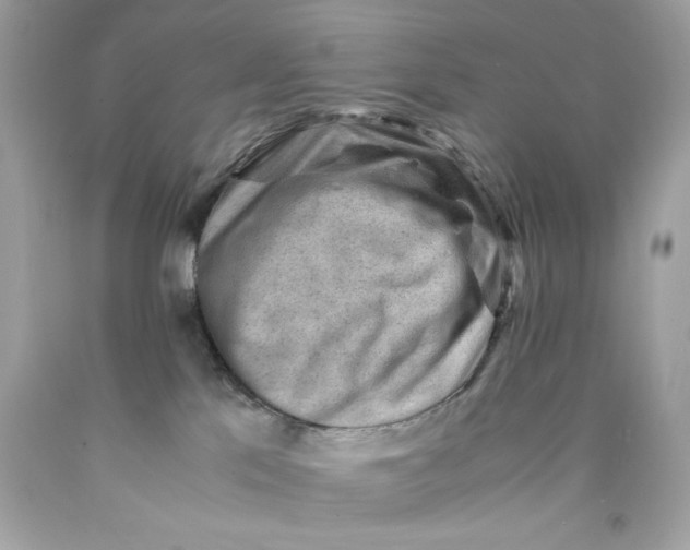 X0000089950041200707201935