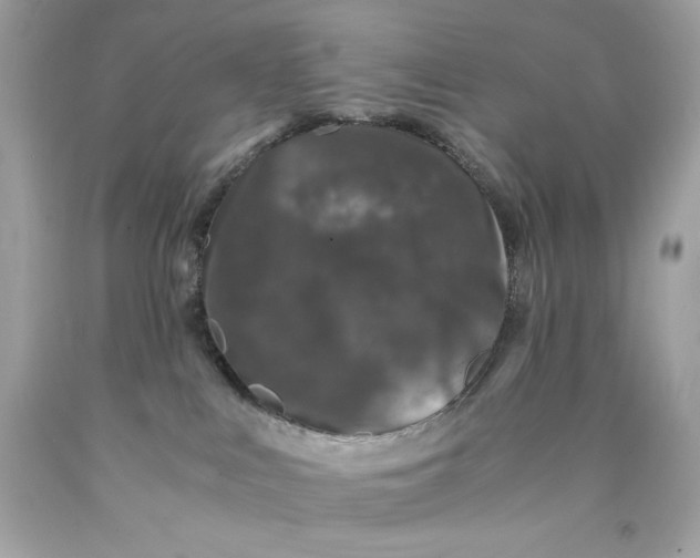 X0000089950043200707201935