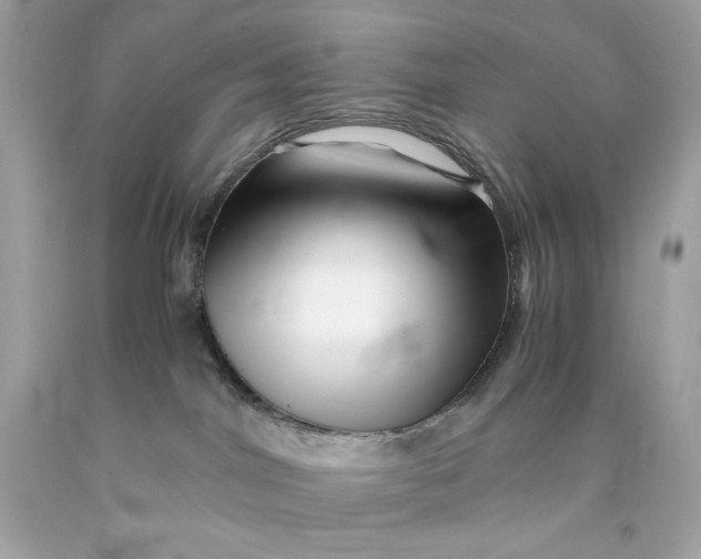 X0000089950044200707201935