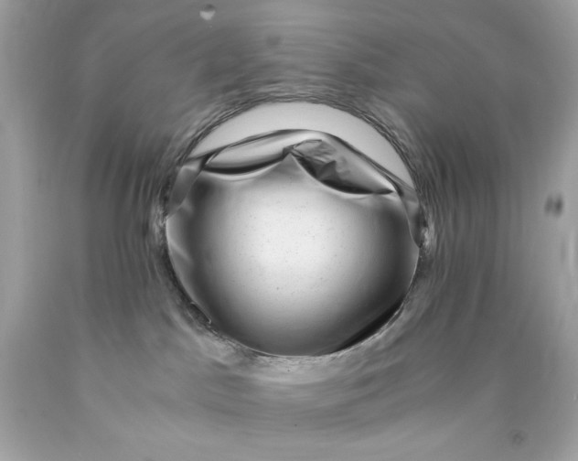 X0000089950045200707201935