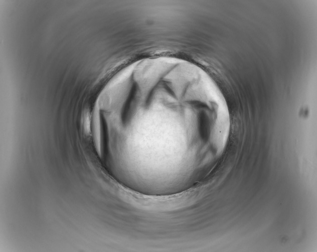 X0000089950046200707201935