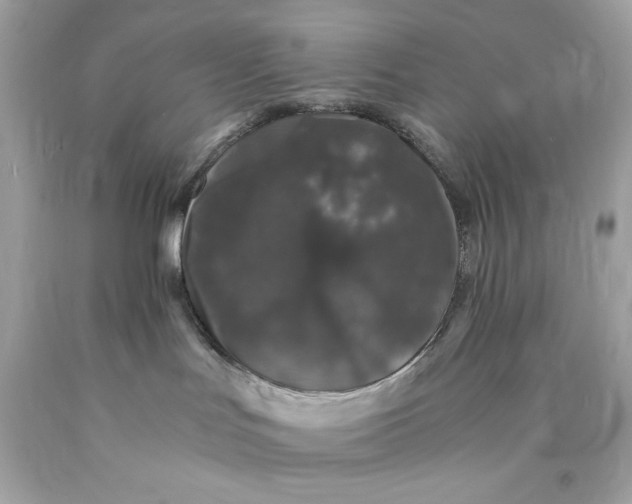 X0000089950047200707201935