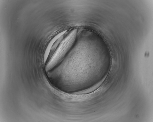 X0000089950048200707201935