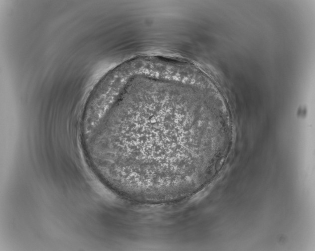 X0000089950049200707201934