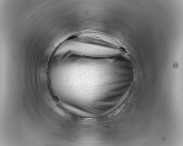 X0000089950050200707201934