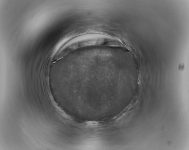 X0000089950052200707201934