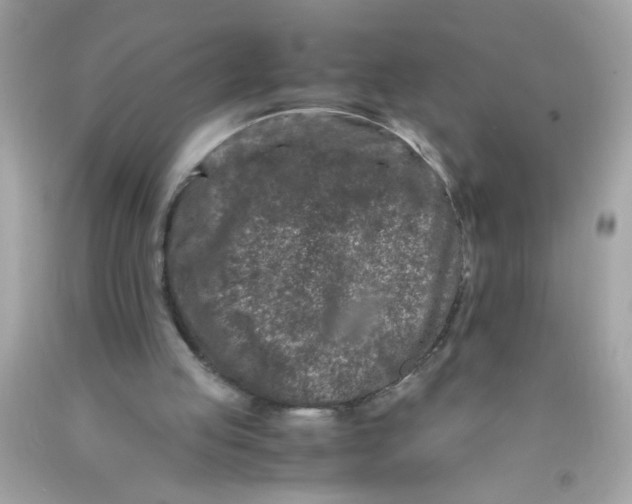 X0000089950053200707201934