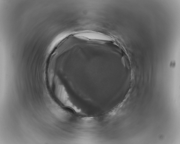 X0000089950054200707201934