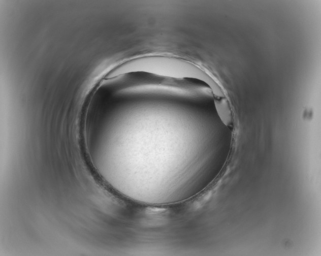 X0000089950055200707201934