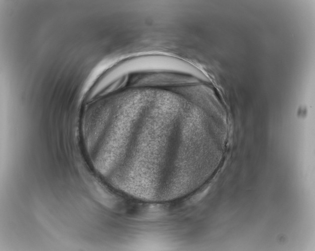 X0000089950056200707201934