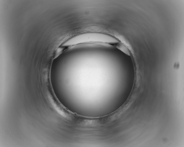 X0000089950057200707201934