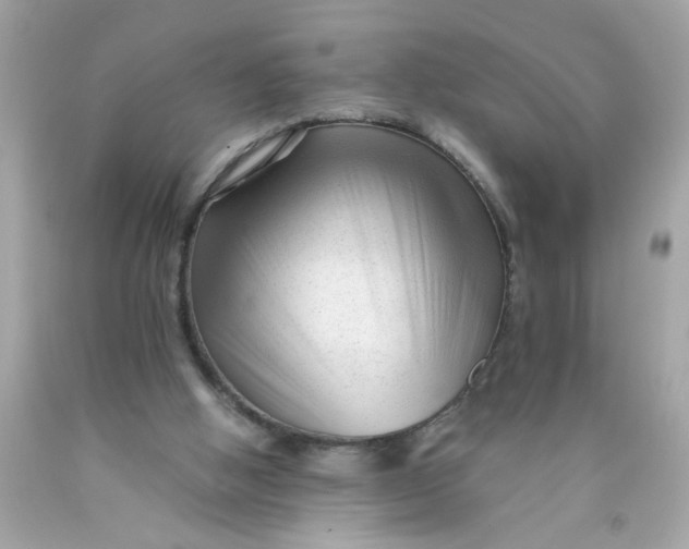 X0000089950058200707201934