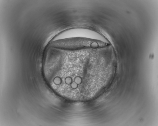 X0000089950059200707201934