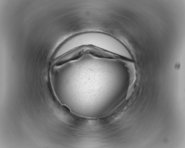 X0000089950060200707201934