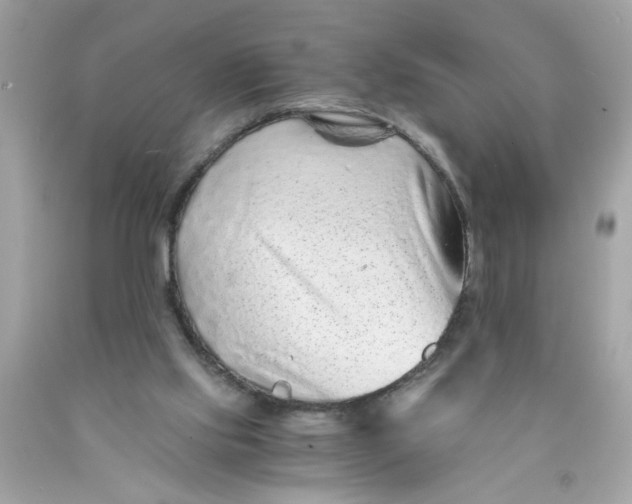 X0000089950061200707201934