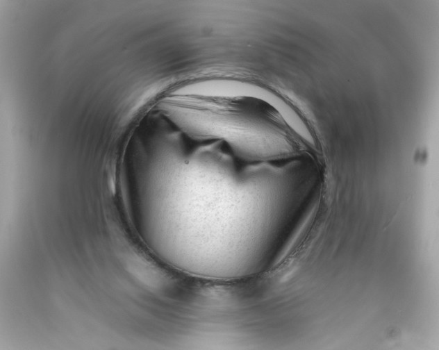 X0000089950062200707201934