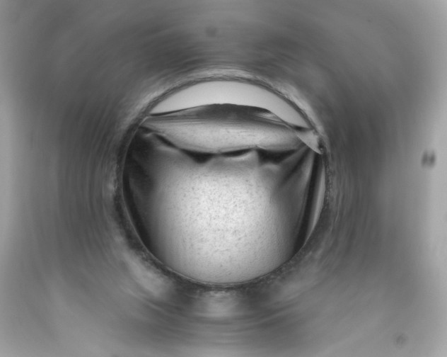 X0000089950063200707201935