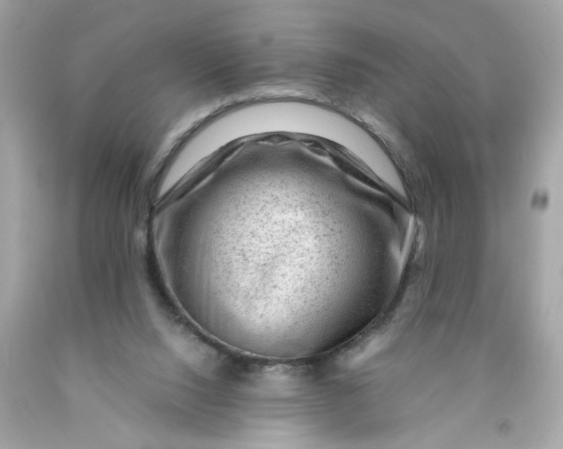 X0000089950064200707201935