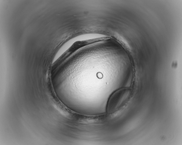 X0000089950065200707201935