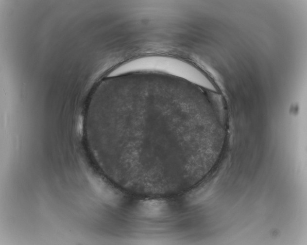 X0000089950067200707201935