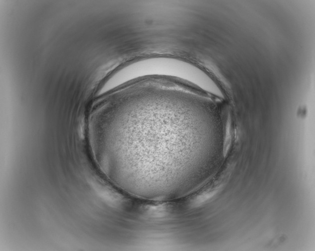 X0000089950068200707201935