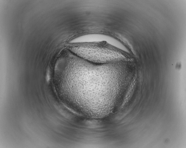 X0000089950069200707201935