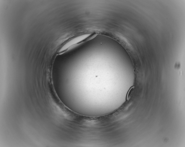 X0000089950071200707201935