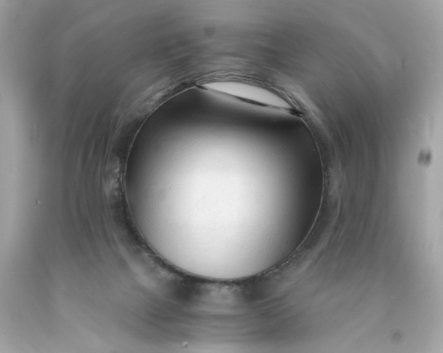 X0000089950073200707201935