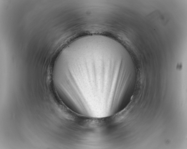 X0000089950074200707201935