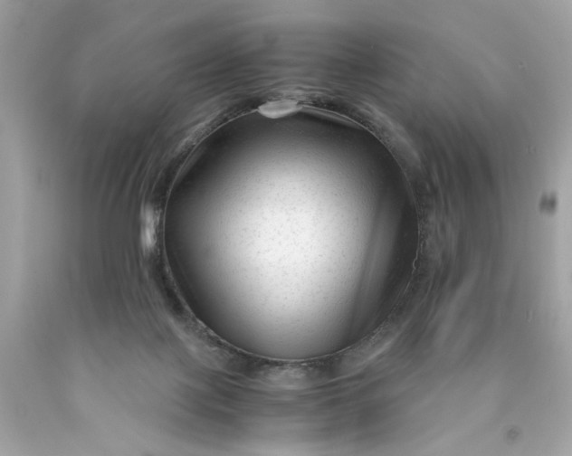 X0000089950075200707201935