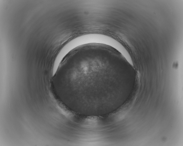 X0000089950076200707201935