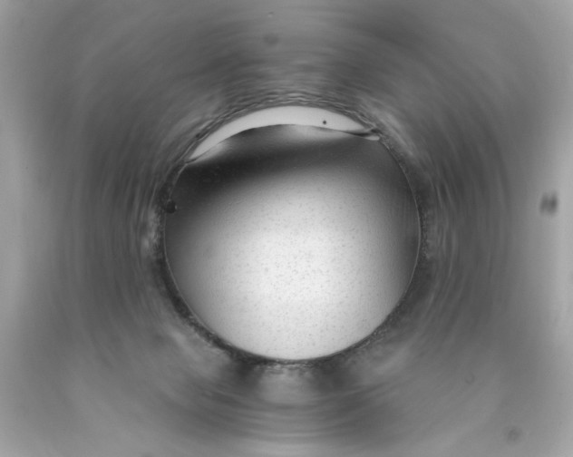 X0000089950077200707201935