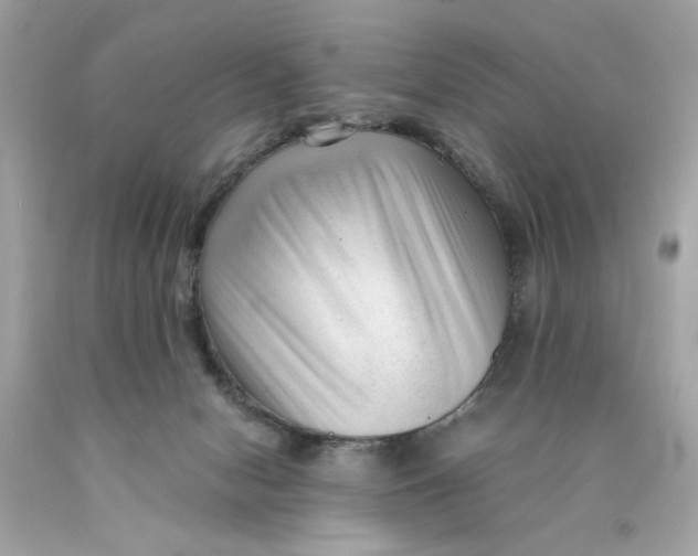 X0000089950078200707201935