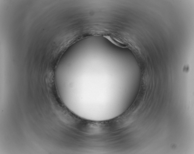 X0000089950079200707201935