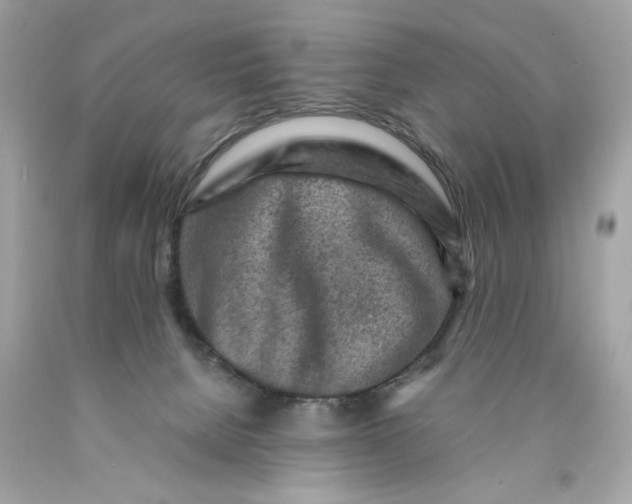 X0000089950080200707201935