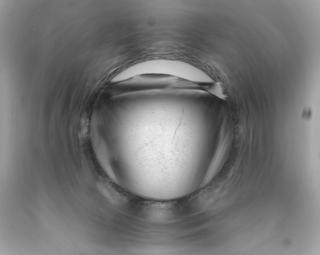 X0000089950081200707201935