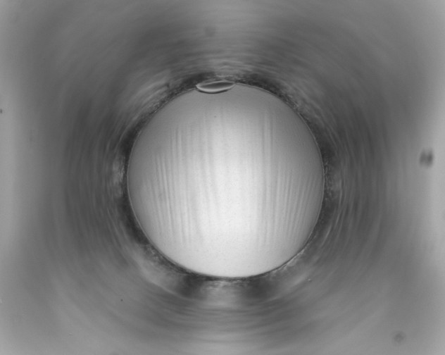 X0000089950082200707201935