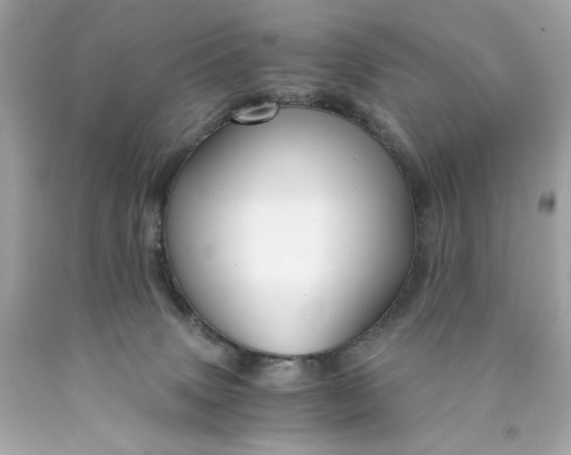 X0000089950083200707201935